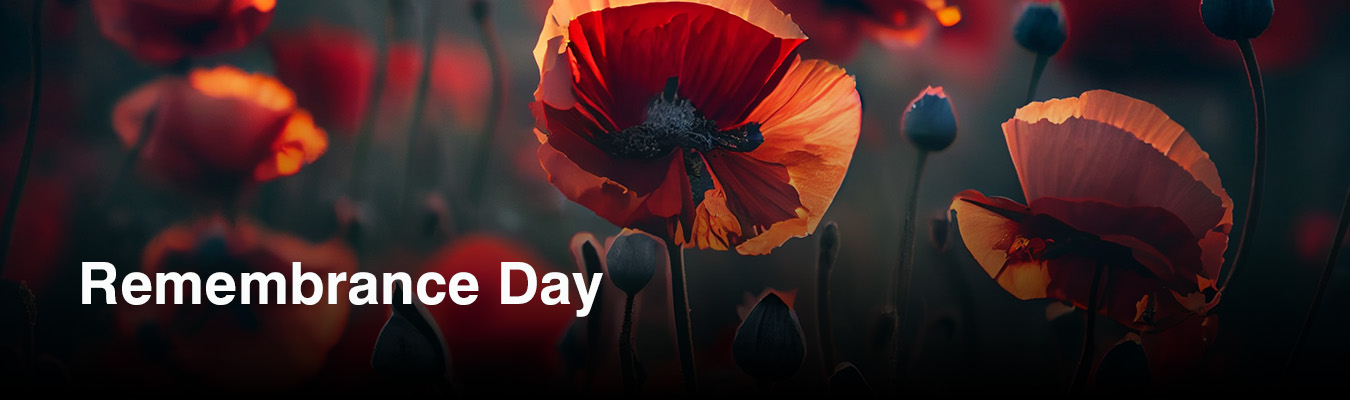 02028-remembrance-day-banner-2